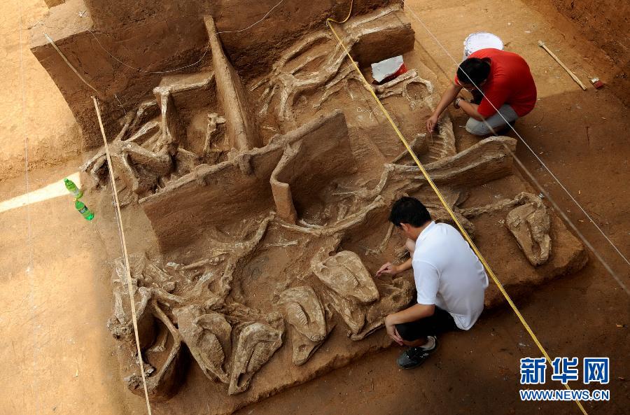 河南:南水北調(diào)沿線考古成果豐碩