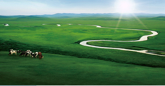 黑馬殺出？重磅消息：伊利即將進(jìn)軍能量飲料市場(chǎng)