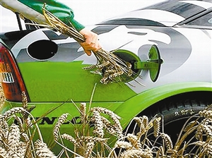 生物燃料究竟有多“綠”？