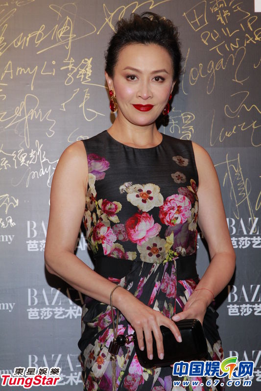 芭莎紅毯眾女星爭艷 整容失敗女星搶鏡 魯豫激瘦