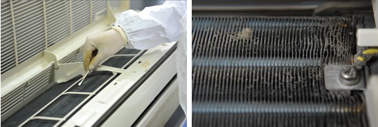 空調(diào)散熱片藏“毒”駭人 你真的會(huì)洗嗎？