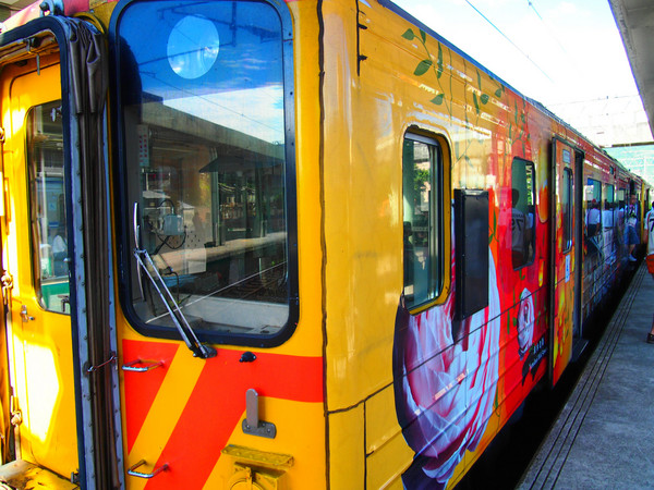 畢業(yè)之前去臺(tái)灣看看世界