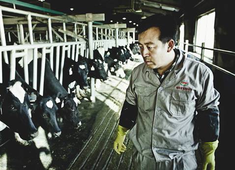 伊利投資輝山 成國內首支市值千億乳業(yè)股