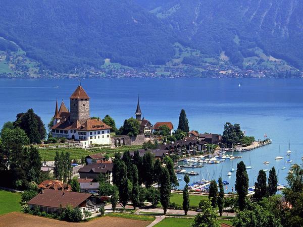 塞浦路斯移民熱:子女教育是首因