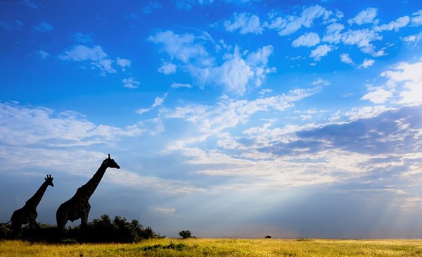 十大人氣免簽落地簽目的地 亞洲占八成