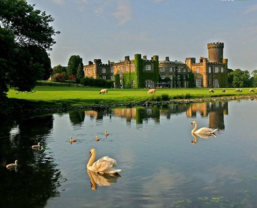 全球“最童話”古堡盤點