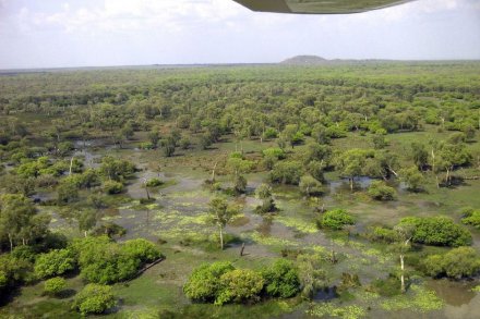 中國企業斥資千萬澳元收購澳洲養牛場