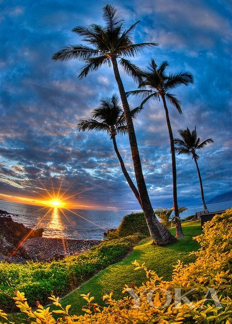 明星度假必去的秘密天堂