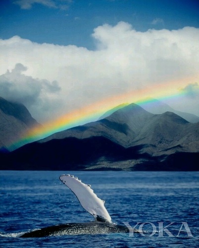 明星度假必去的秘密天堂