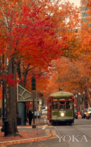 明星度假必去的秘密天堂