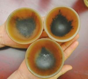 微信圈隱秘生意：女演員非法販賣犀牛角日賺32萬