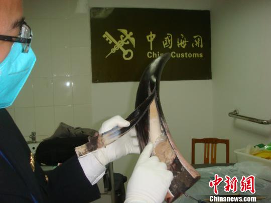 BBC：中國臨時禁止進口象牙制品 稱嚴打象牙走私