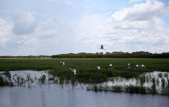 習近平的兩會時間： 東北振興怎么辦？