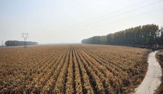 習近平的兩會時間： 東北振興怎么辦？