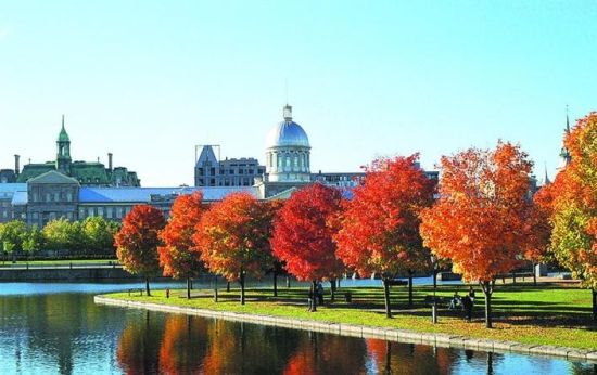 葉毓蔚：移民的中國人怎么又回來了？