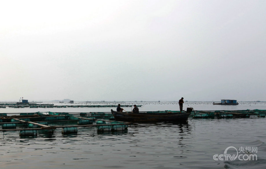 “海上糧倉”建設(shè)的“藍(lán)色之路”