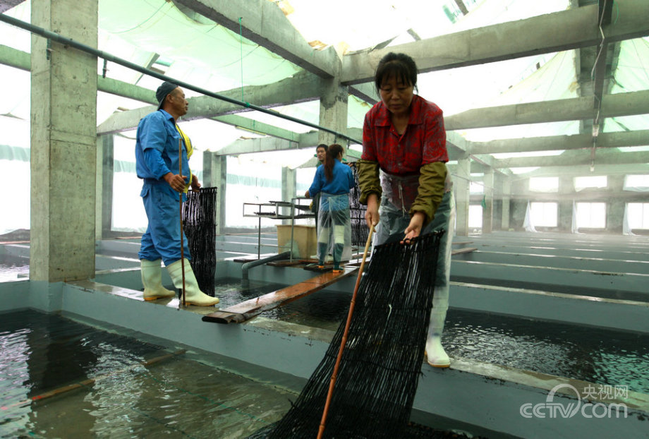 “海上糧倉”建設(shè)的“藍(lán)色之路”