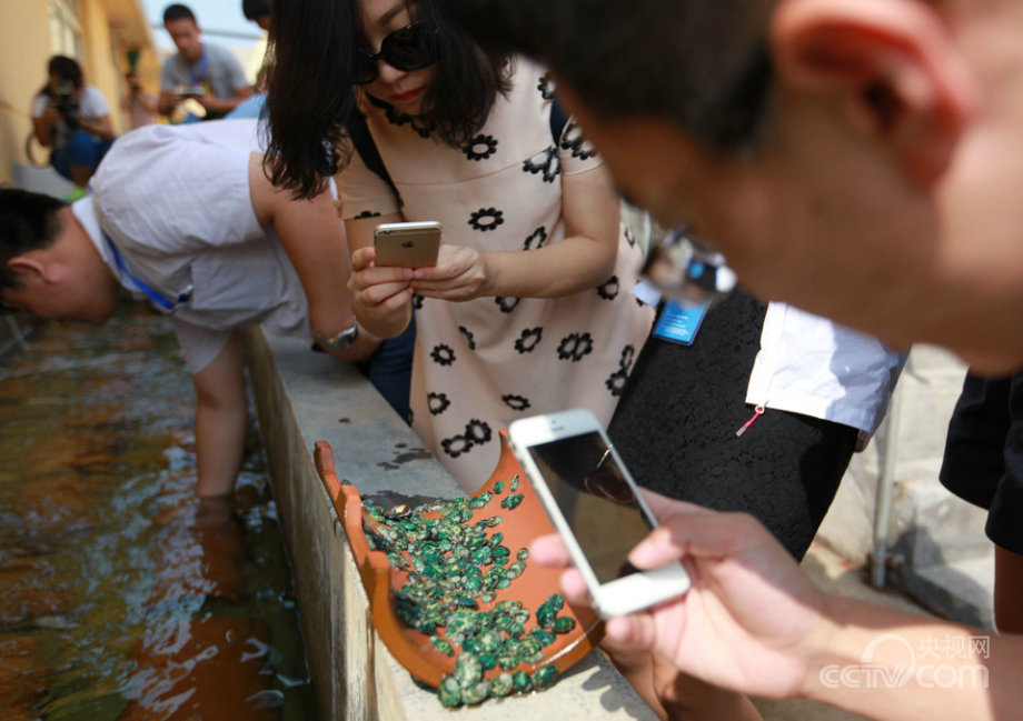 “海上糧倉”建設的“藍色之路”