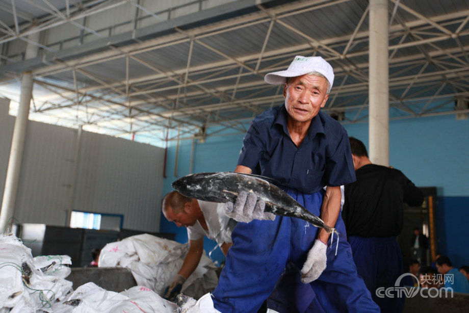 “海上糧倉”建設(shè)的“藍色之路”