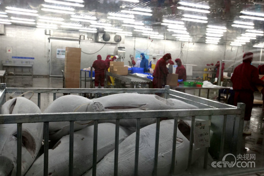 “海上糧倉”建設的“藍色之路”