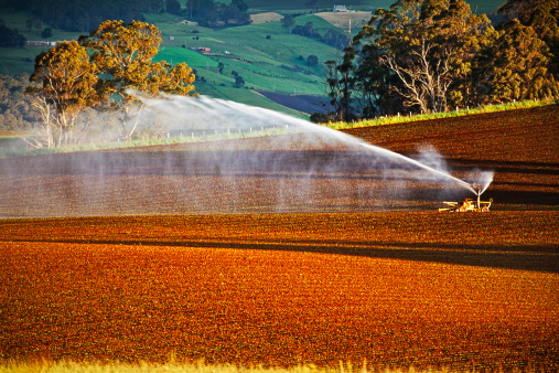 報告顯示:中國成為澳大利亞“農(nóng)業(yè)領(lǐng)域”最大投資國