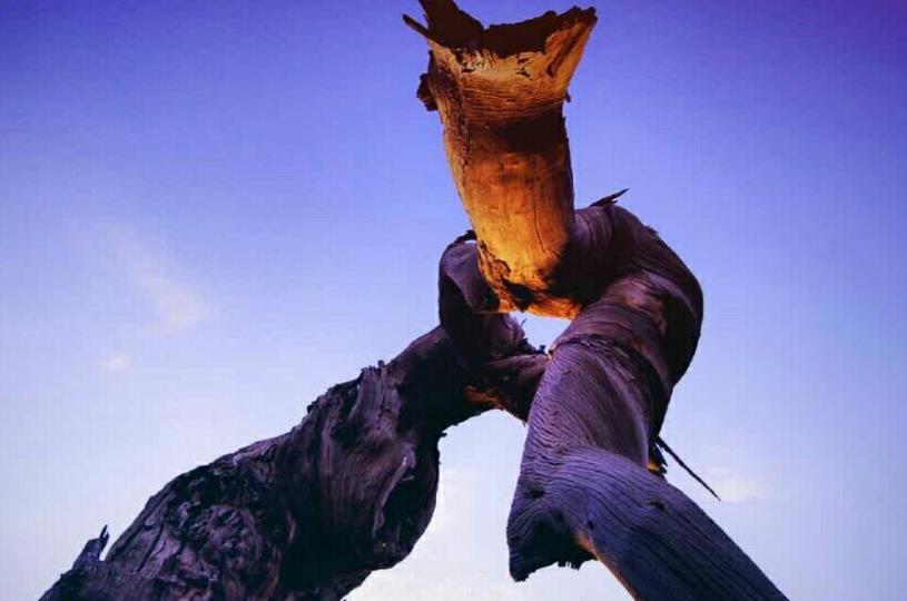 指數熔斷機制的前世今生：美國上世紀80年代誕生