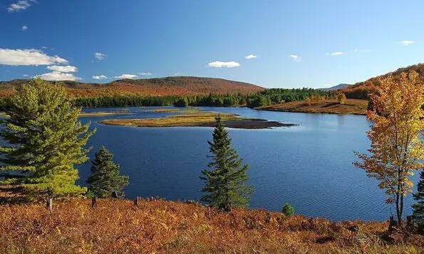 王健林、馬云等亞洲富豪2015年的購物車里都有什么?