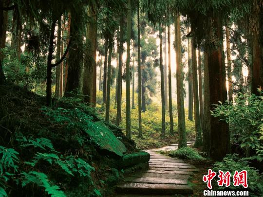 四川天臺山創5A景區實施改造為螢火蟲讓路