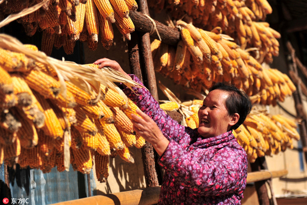 統計局：2016年全國糧食再獲豐收