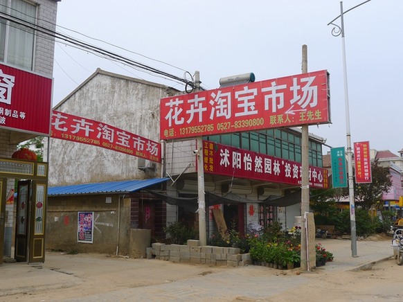 世界銀行點贊中國“淘寶村”:助農民變成企業家 應推廣至全球