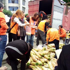 不忍看著30噸蘿卜爛地里！村淘小二們幫75歲大爺賣完了