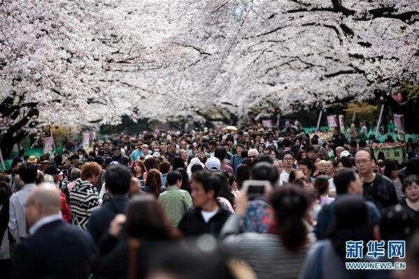 日本去年向中國人發放簽證數再創新高 增幅高達12%
