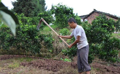 脫貧攻堅(jiān)決勝年 云陽多措并舉摘貧困縣“帽子”
