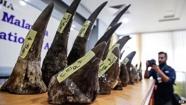 拯救犀牛：沒(méi)有買賣，就沒(méi)有殺害