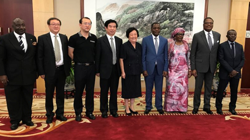 趙白鴿:“一帶一路”為中非進一步合作提供新機遇