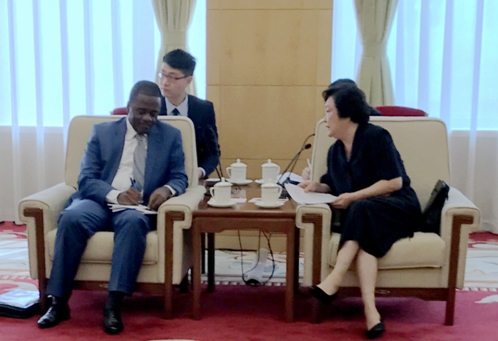 趙白鴿:“一帶一路”為中非進一步合作提供新機遇