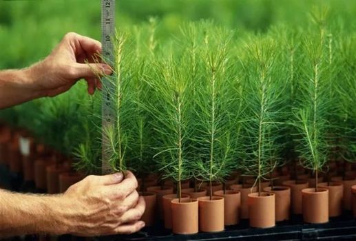 12月新規來了！都是好消息 第一條就讓你超省錢