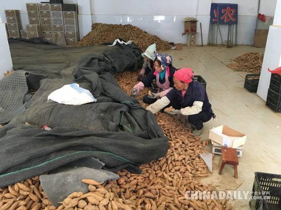 【十九大精神進央企】南方電網:打通扶貧的“最后一公里”