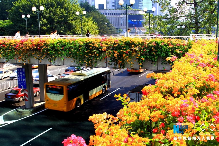 航拍空中花廊 愛上冬日廣州“春光”