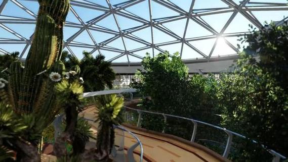 2019北京世園會植物館“萬花筒”正式發(fā)布