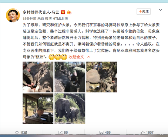 有只遠(yuǎn)在非洲的大象，馬云將它命名為“杭州”